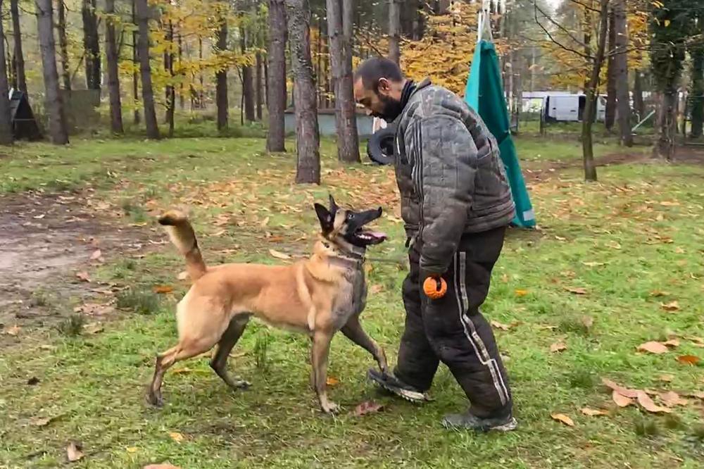 capacité au mordant (1)